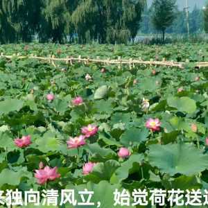 请输入相册名称
