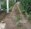 Զĸ쵼ܹ£