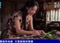湖北卫视聚焦远安嫘祖养蚕缫丝文化