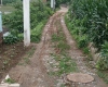 Զĸ쵼ܹ£