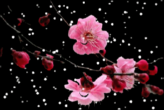 相册